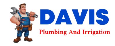 Trusted plumber in BERTHA